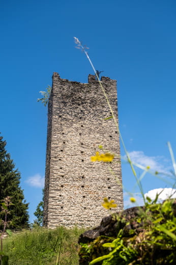 Montmayeur Tower
