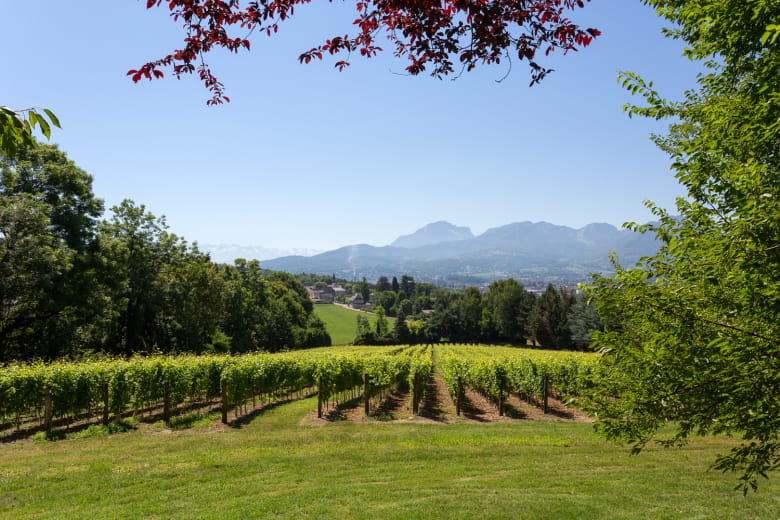 Château de Candie