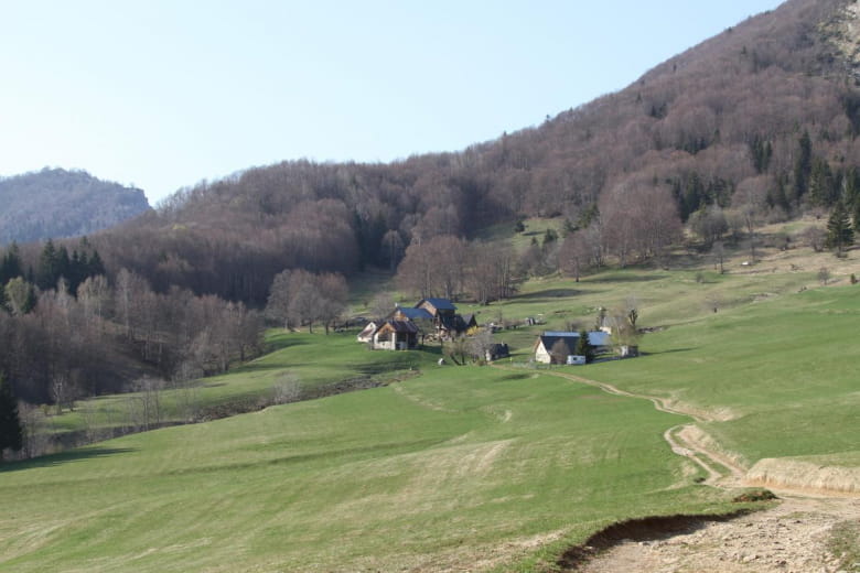 Walk in Chartreuse 20 minutes from the cottage