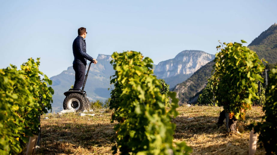 Man on Segway in the vineyards