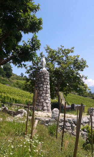 Balade des Calloudes - Vierge des vignes - Arbin