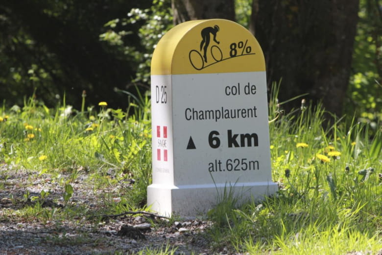 Borne Col de Champlaurent