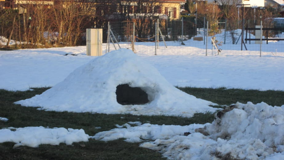 February 12, 2013...An igloo in the lawn