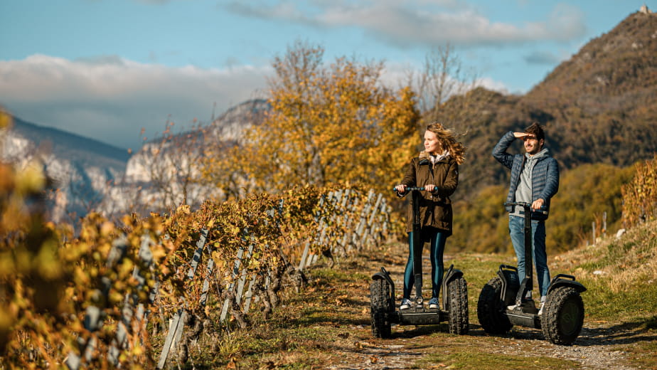 Segway ride in the vineyards and tasting