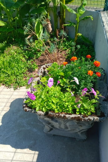 flower planter