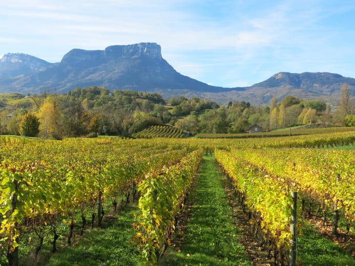 Wine tourism hikes
