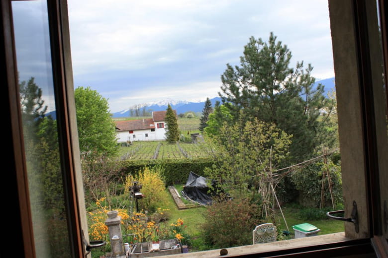view from the room on the vineyards and the chain of belledonne