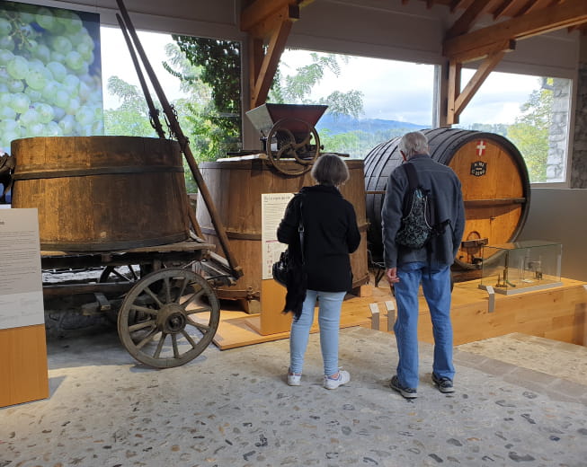 Savoie Vine and Wine Museum - Montmélian
