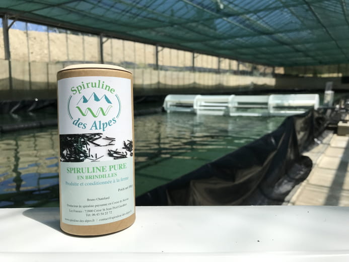 Snack on the farm with Spirulina from the Alps